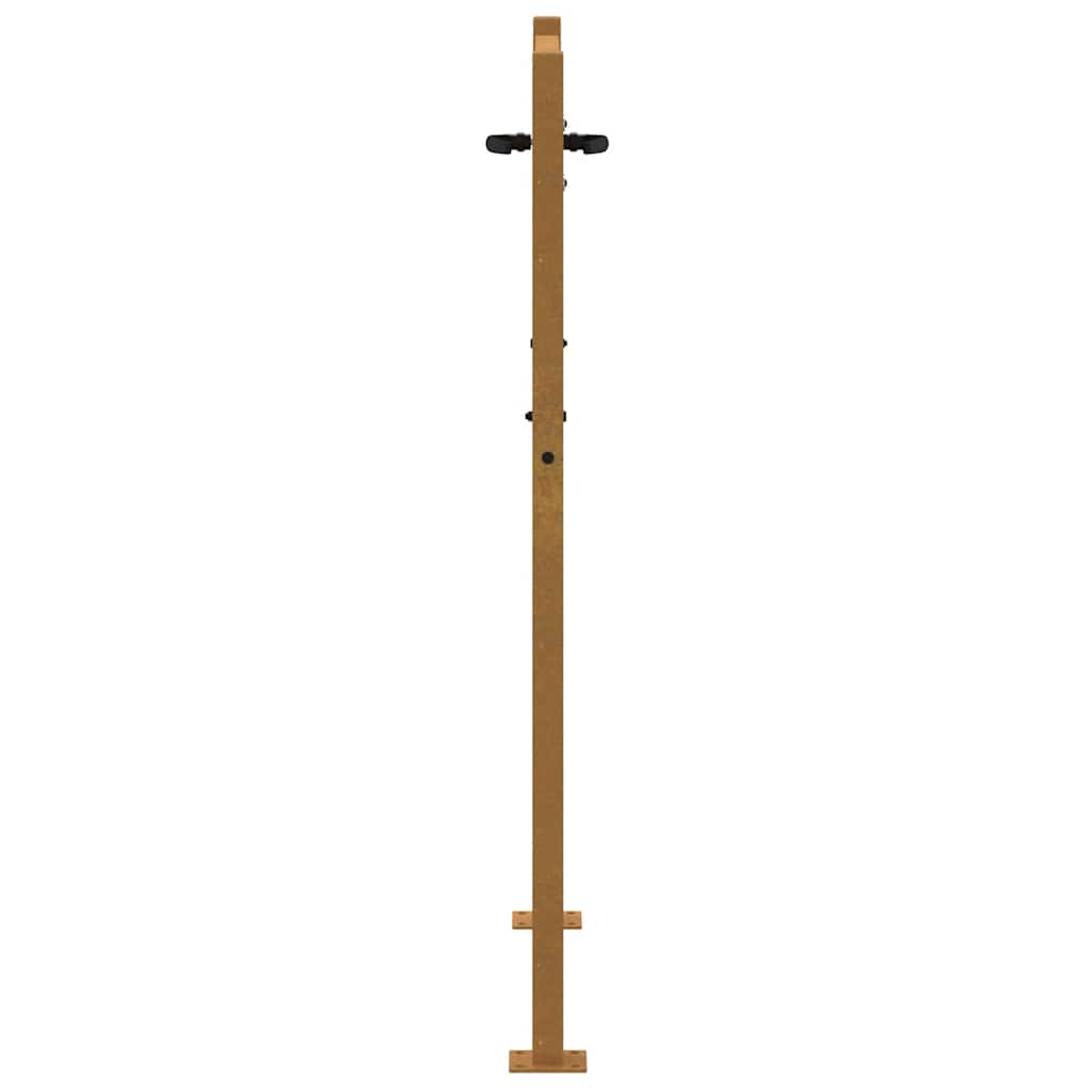 Puutarhaportti 100X125 Cm Corten-Teräs Ruohokuvio