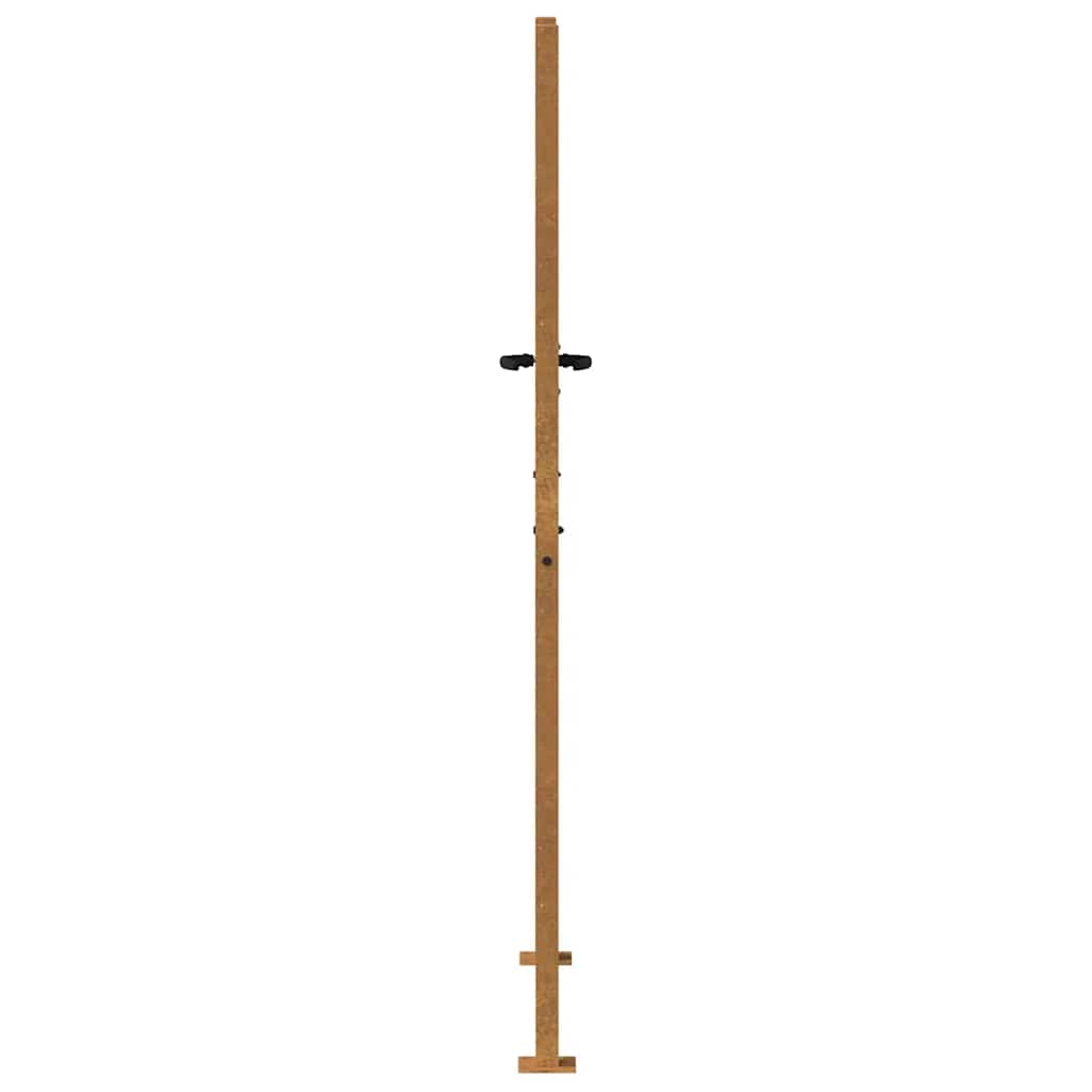 Puutarhaportti 100X200 Cm Corten-Teräs Bambukuvio