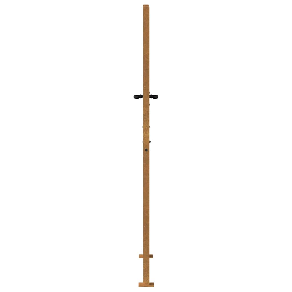 Puutarhaportti 100X200 Cm Corten-Teräs