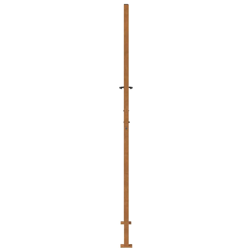 Puutarhan Portti 100X200 Cm Säänkestävä Teräs Valodesign