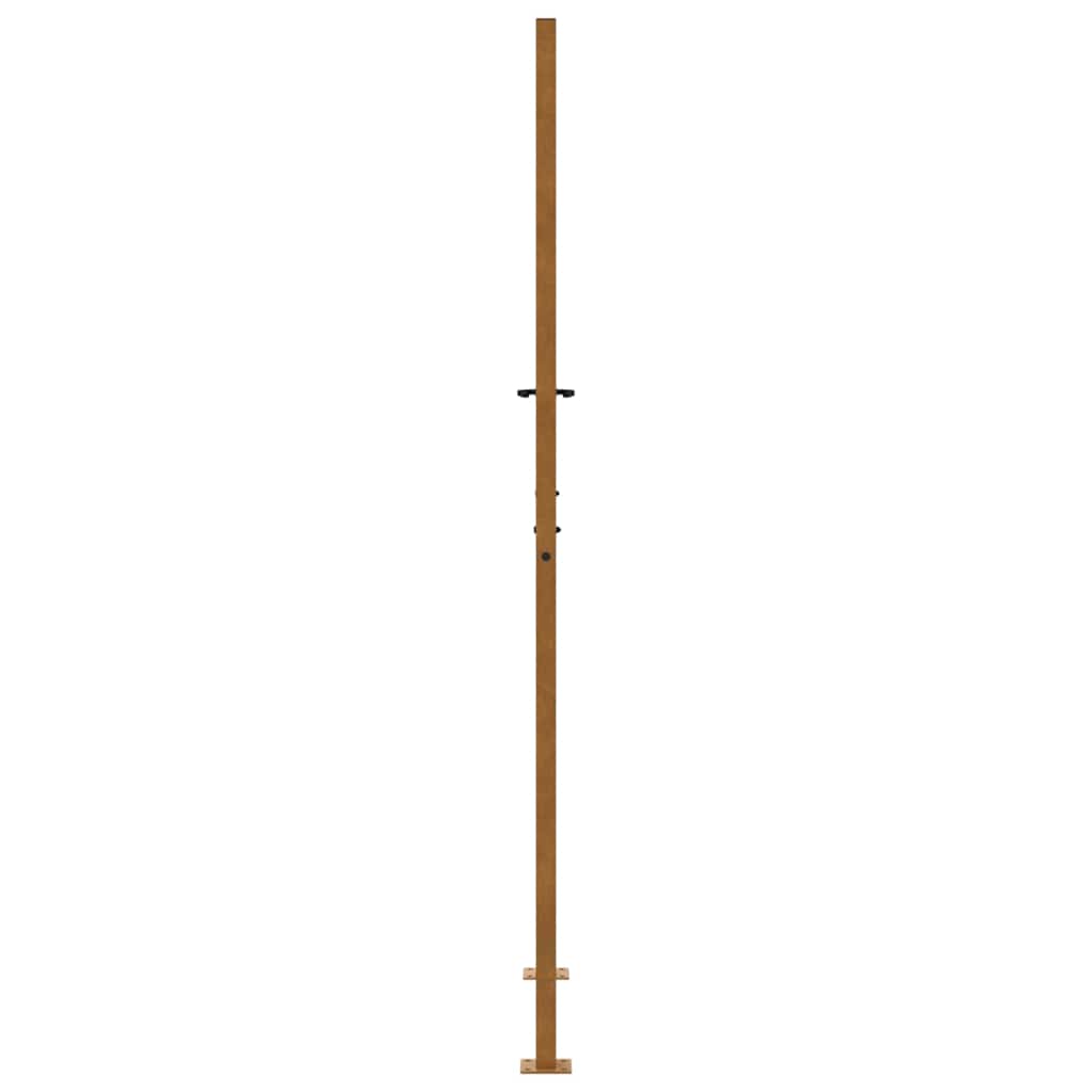 Puutarhan Portti 100X200 Cm Säänkestävä Teräs Liekkikuvio