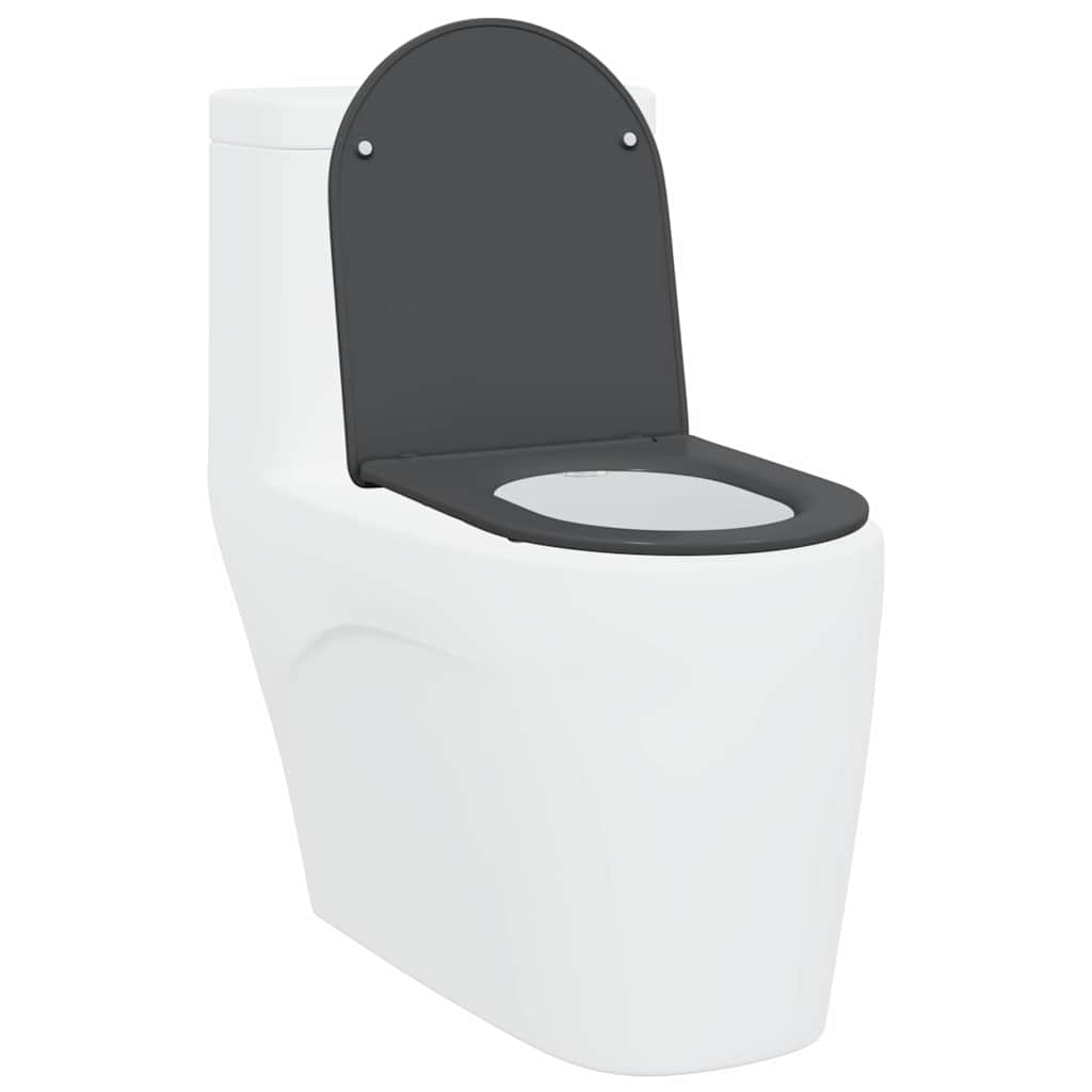 Wc-Istuin Antrasiitti 47 X 36 X 3,4 Cm Duroplast