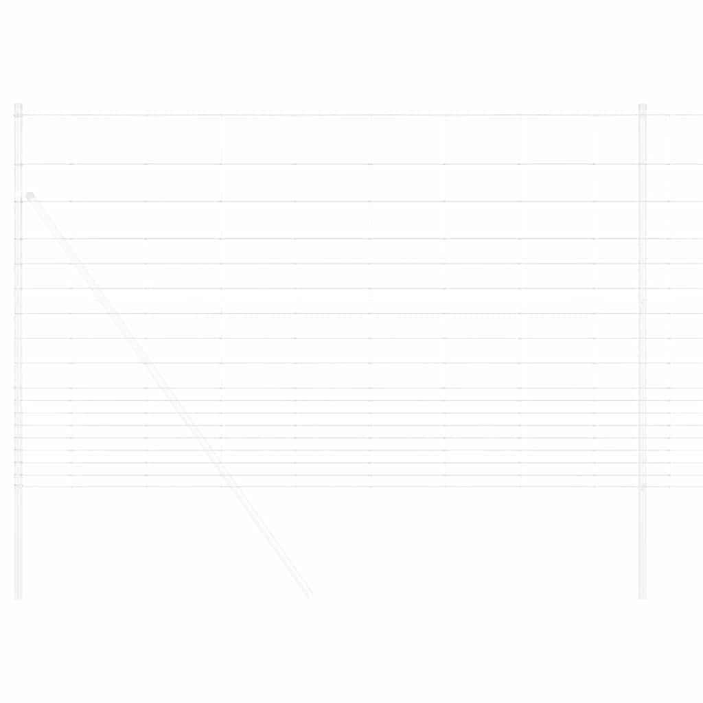 Villiviideo Kuuma Dipattu Galvanoitu 1000 X 150 X 0,18 Cm Rauta