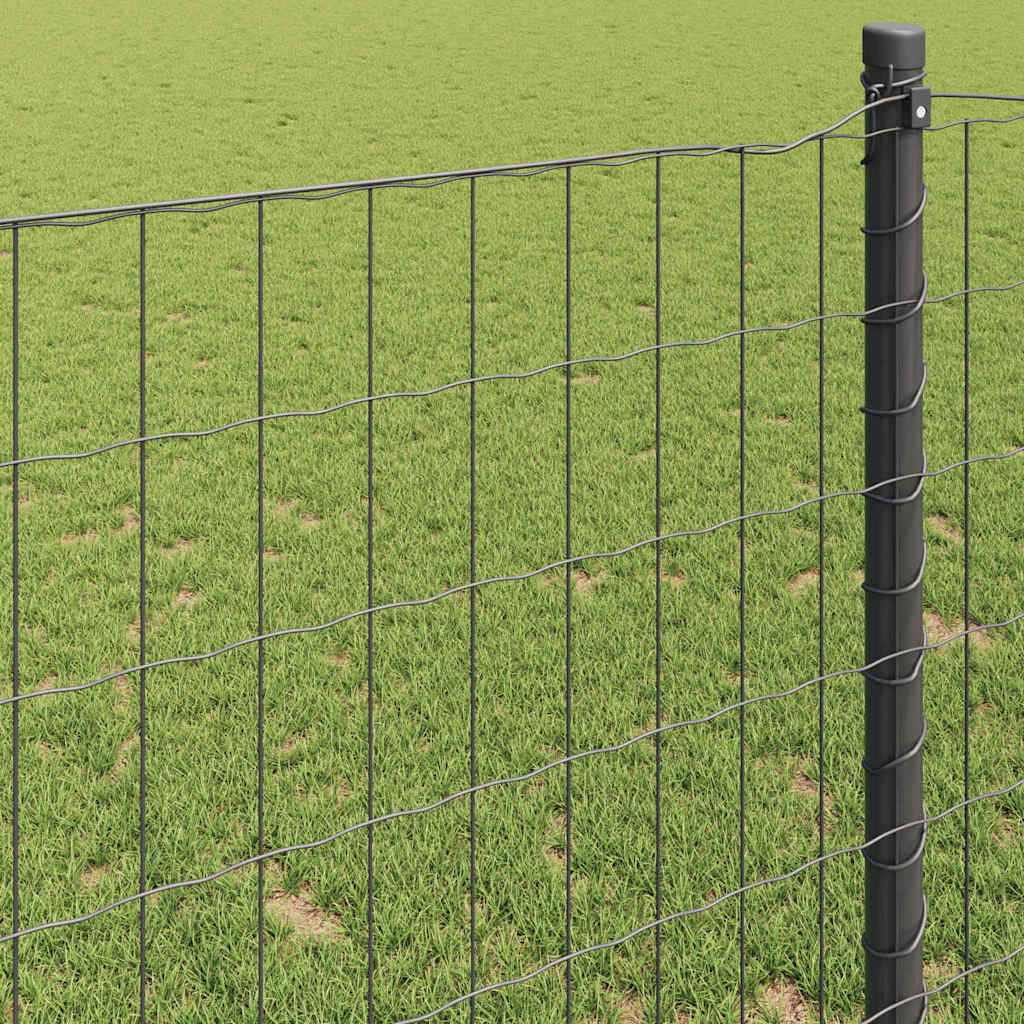 Euroaita Harmaa 1,6 X 10 M Pvc-Pintainen Rauta