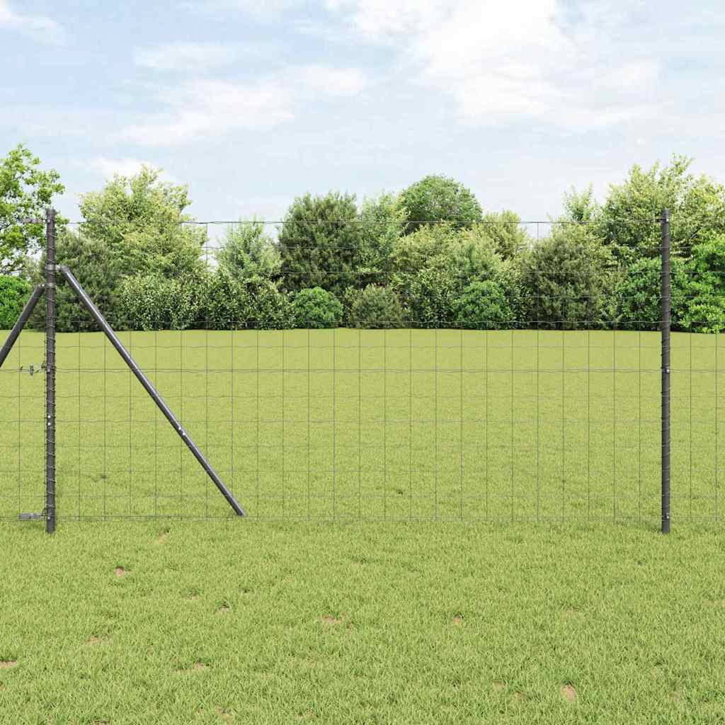 Euroaita Harmaa 1,4 X 10 M Pvc-Pintainen Rauta