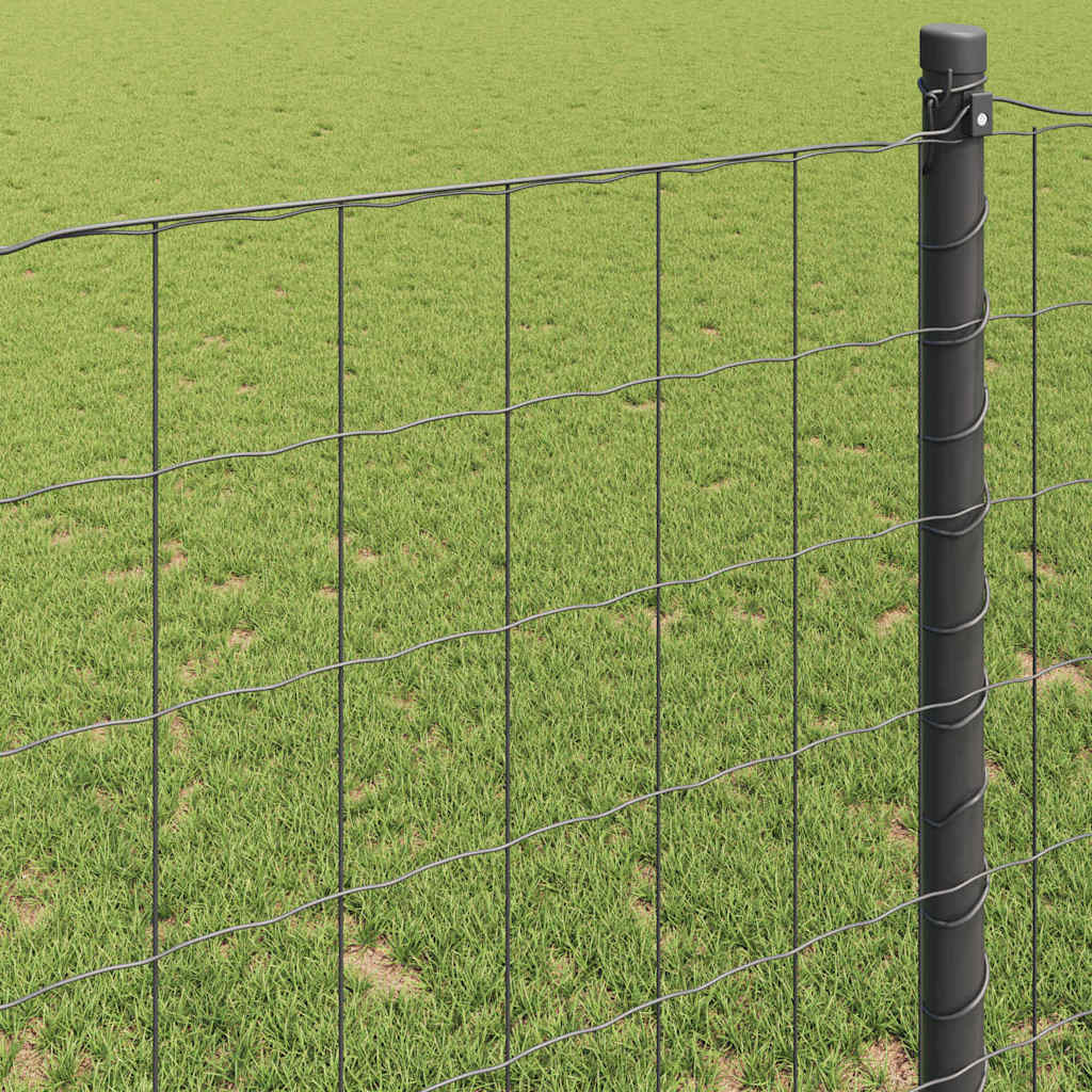 Euroaita Harmaa 0,8 X 25 M Pvc-Pintainen Rauta