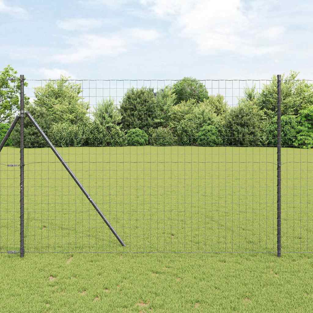 Euroaita Musta 1,6 X 10 M Pvc-Pintainen Rauta