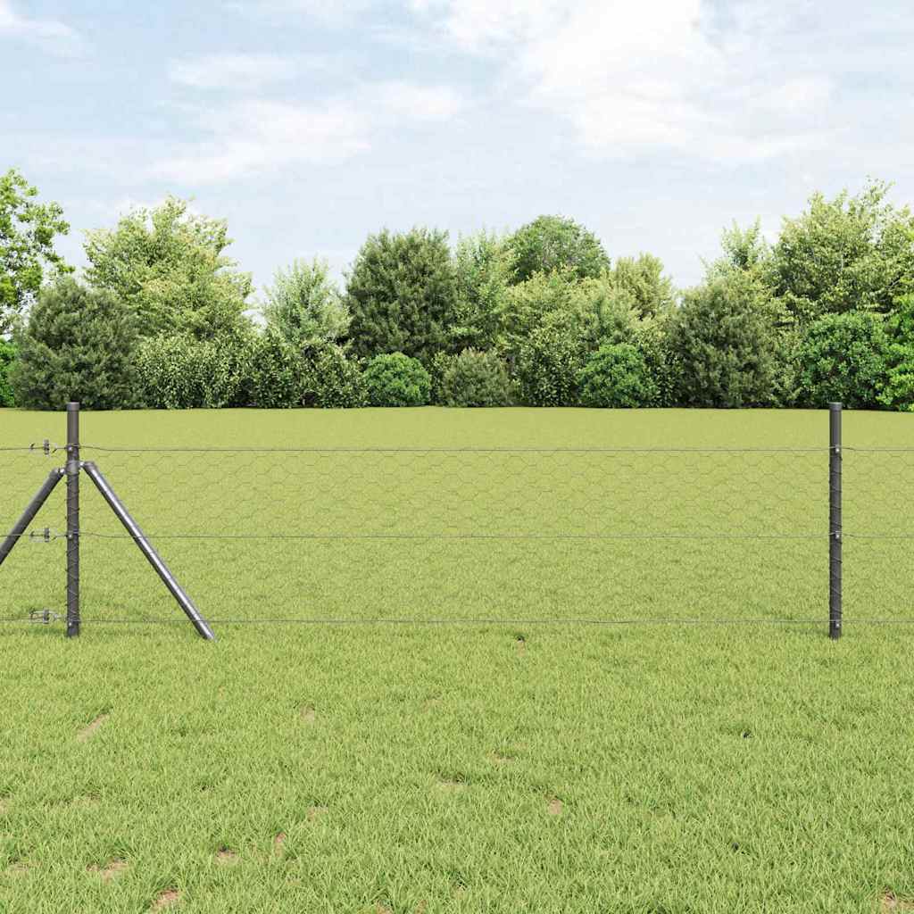 Kuusikulmainen Aita Harmaa 1,2 X 100 M Polyvinyylikloridi