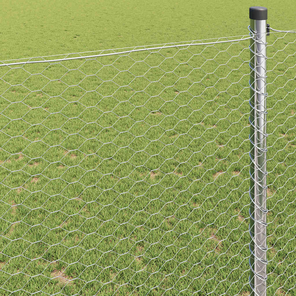 Kuusikulmainen Aita Hopea 1,6 X 10 M Galvanoitu Teräs