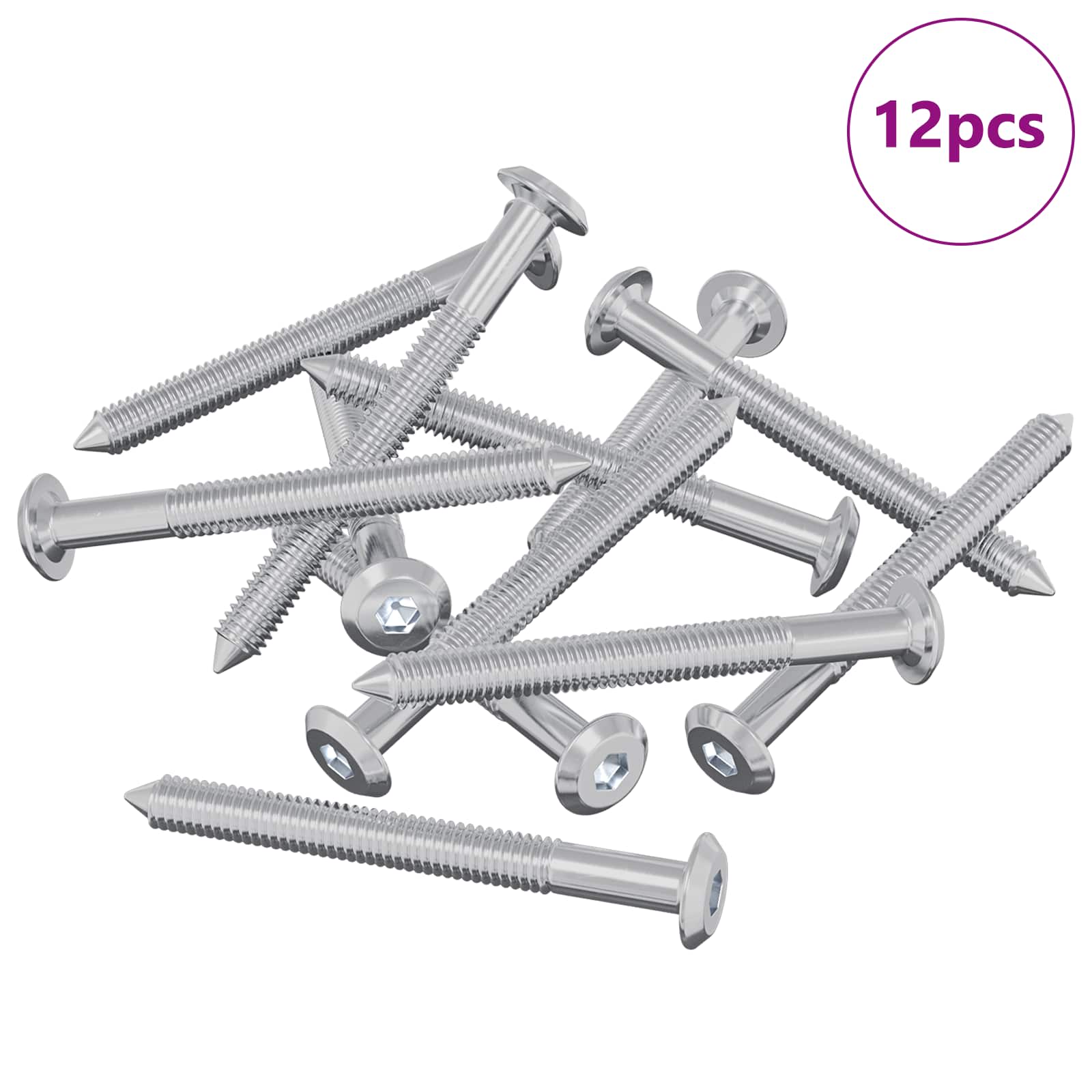 Huonesiivousruuvit 12 Pcs Hopea M6 X 60 Mm Teräs