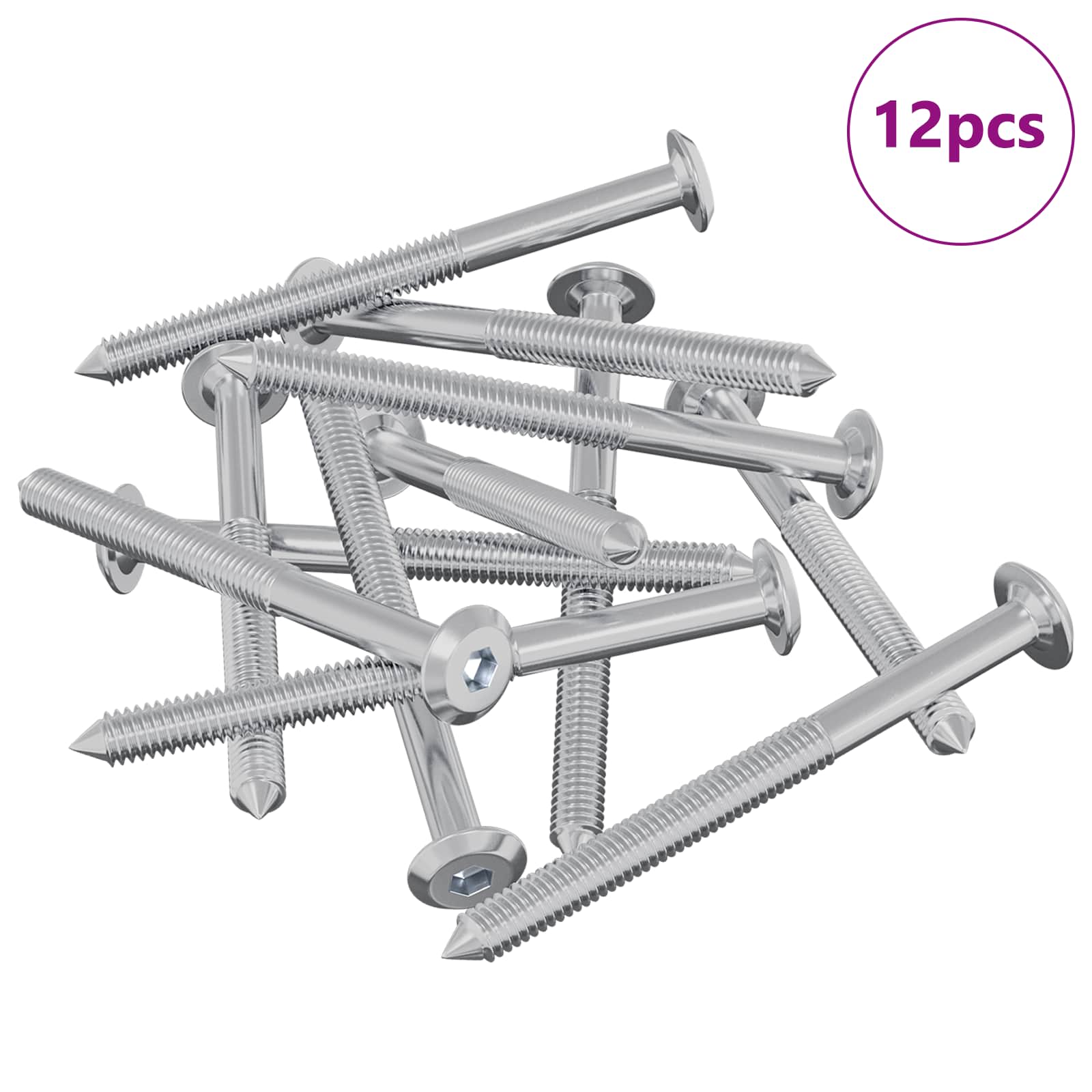 Huonesiivousruuvit 12 Pcs Hopea M6 X 70 Mm Teräs