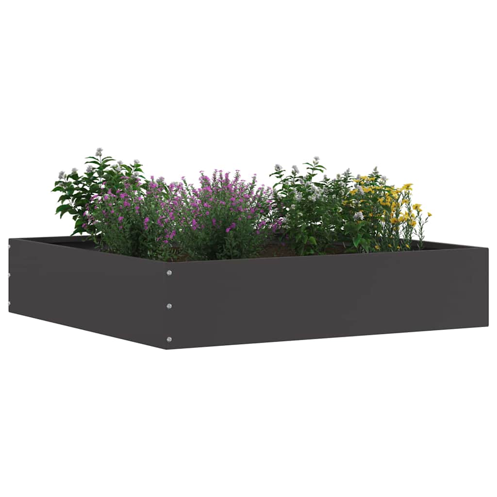 Nurmireunus Musta 60 X 60 X 13 Cm Teräs