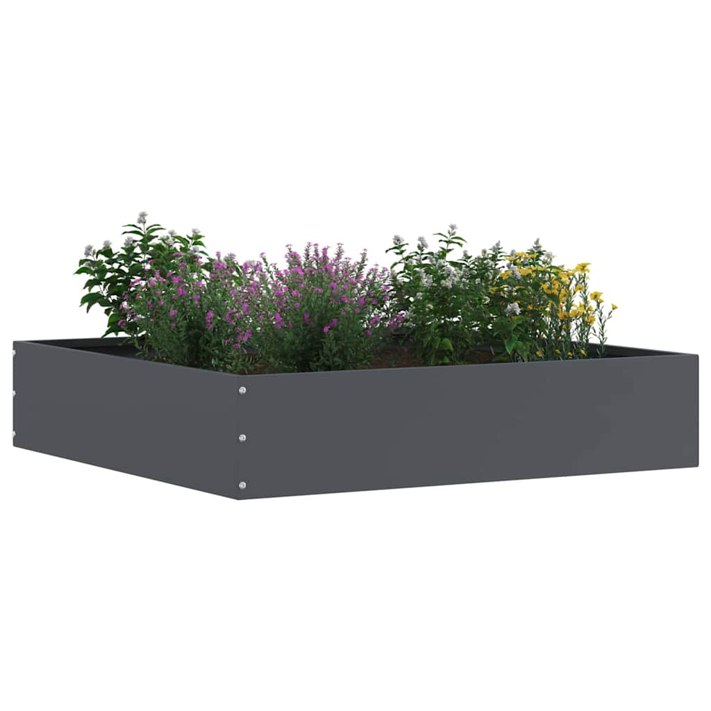 Nurmireunus Antrasiitti 60 X 60 X 13 Cm Teräs