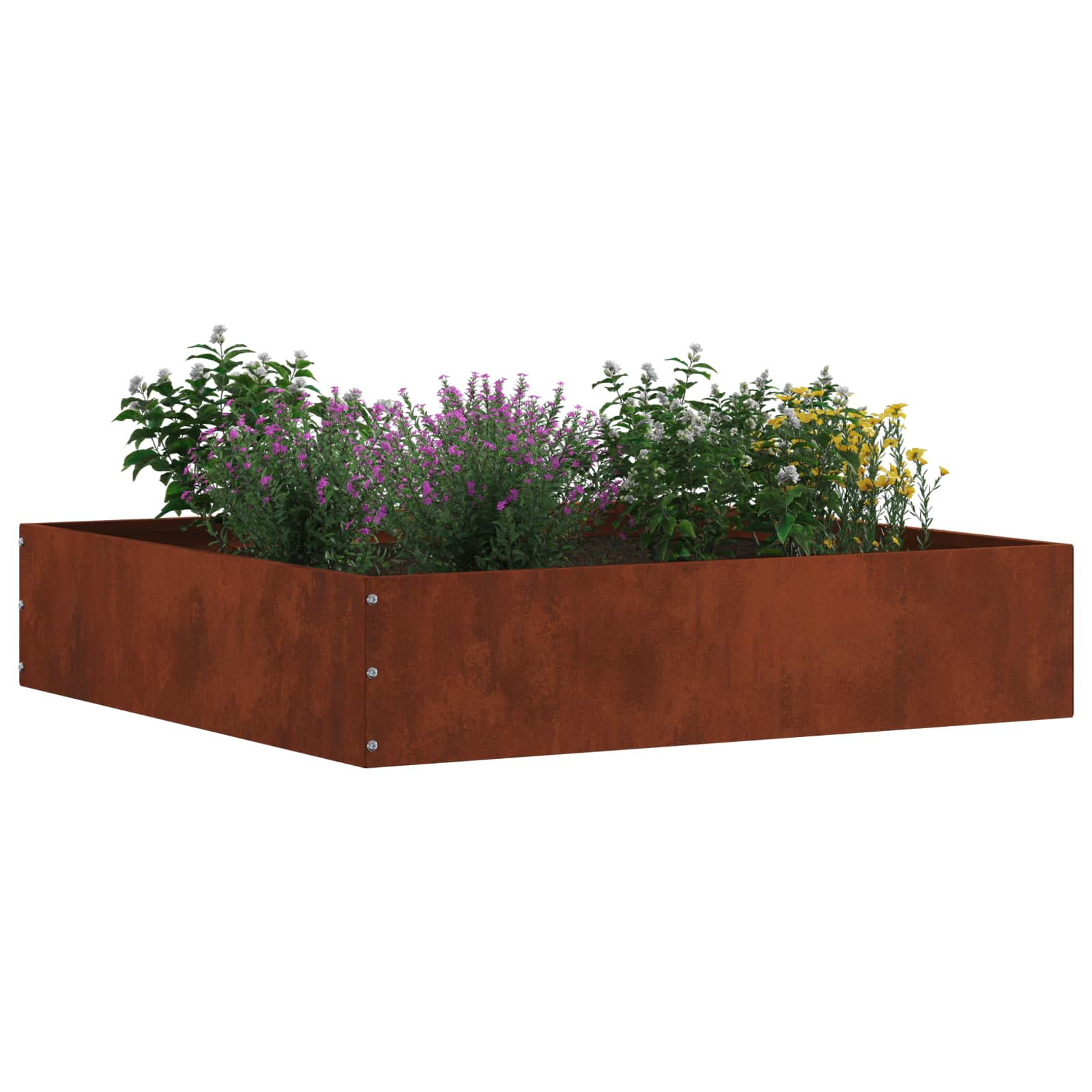 Nurmireunus Ruosteinen 60 X 60 X 13 Cm Kulunut Teräs