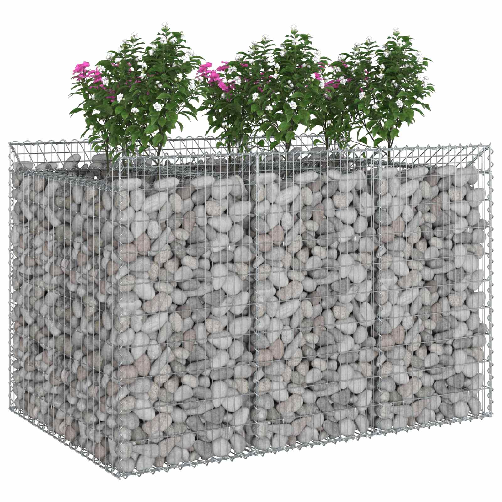 Gabion Kohotettu Peti 2 Pcs Hopea