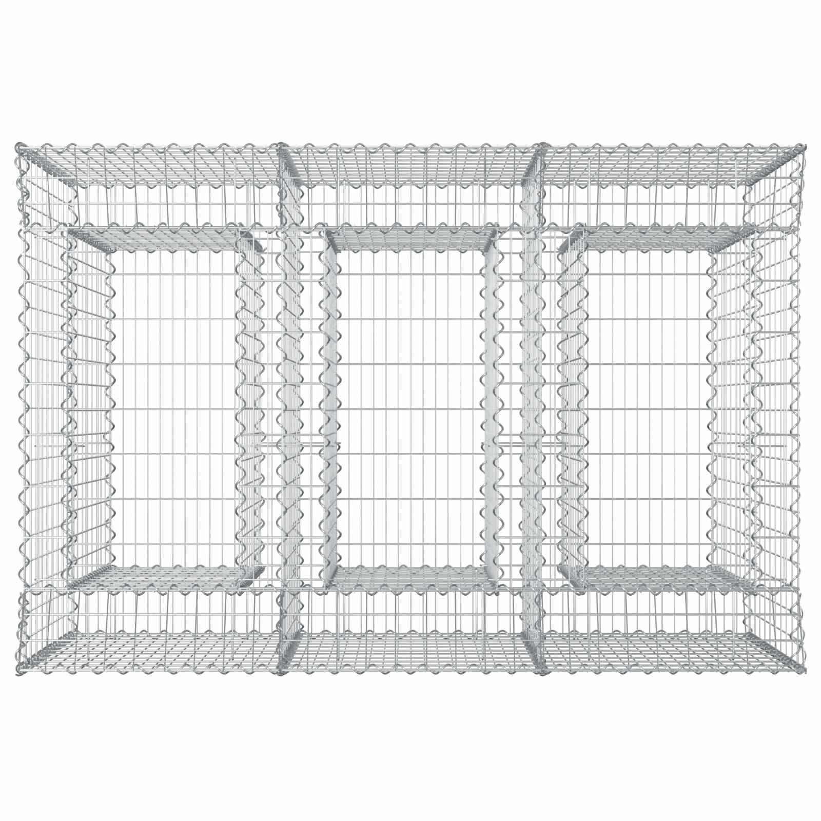 Gabion Kohotettu Peti 2 Pcs Hopea