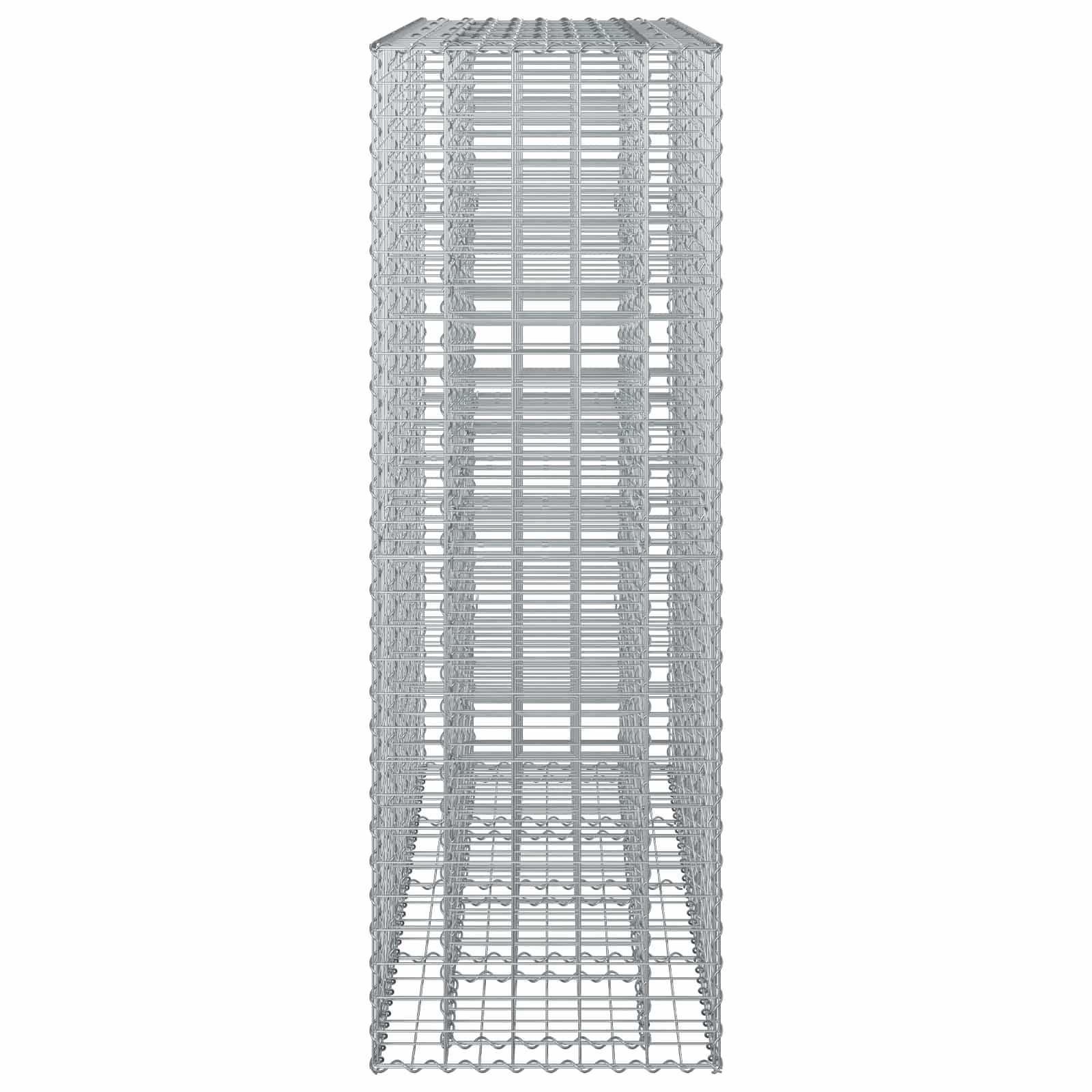 Gabion Kohotettu Peti 2 Pcs Hopea